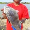 Sumantha Jones of Houston put this nice drum in the box by fishing shrimp