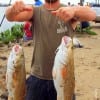 TWO AT A TIME for Justin Lynn of Spring TX with his 22 and 24inch slot reds he caught at the same time on shrimp