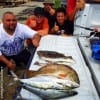 The McTighe Family of Three Rivers TX  tailgated these mackerel, flounder, reds, and trout they caught on EVERYTHING