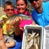 The Rutledge Family of Tomball TX boxed up this nice mess of whiting and trout they caught on finger mulllet
