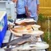 The Vantreese Krewe of Spring TX filled their cooler with reds and drum today while fishing shrimp