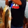 Thomas Perez of Baytown TX limited out with these three slot reds he caught on finger mullet