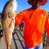 Tilio Benazides of Spring TX took this 36inch tagger bull red on the early tide with shrimp