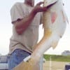 Woodrow Lindsey of Houston put this tagged 39inch bull red in the box while fishing shrimp