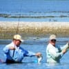 Bay wader buds drag up a nice flounder