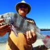 Bobby Ingram of Round Rock TX took this keeper eater drum on shrimp