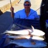 Brady Bowan of Houston tailgated this limit of slot reds he took on live shrimp