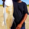 Cherridy Hector of Houston nabbed this nice 25inch slot red on live shrimp