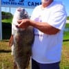 Duane Menatt of Winnsboro TX caught and released this 34inch bull drum he took on squid
