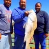 Felton Johnson and Felton Jr with mom Linda, admire PaPa's 34inch bull drum which he released