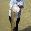 Kay Lowe of Goodrich TX caught and released this 44inch Bull Red caught on Miss Nancy Frozen Mullet