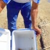 Larry Olgulvie of Paige TX boxing up a croaker fry for the Mount Zion Baptist Church- ALL R INVITED