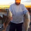 Michael Pedy of Houston took these nice slot reds on finger mullet and shrimp