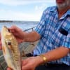 Michael Riewe of Houston shows what a 16inch bull croaker looks like