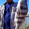 Miquel Arellano of Houston caught this nice drum on shrimp