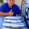 Nederland TX angler Stephen Nelson fished the night-shift for catching these nice specks on the 1am bite with live shrimp