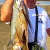 Omar Rodriguez of Houston tethered up this nice stringer of croaker while fishing shrimp