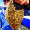 Shelby Camp of Thickett TX took this nice floinder on a finger mullet
