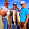 The Bailey Family of Chikasha  OK managed to wrangle up these nice slot reds while fishing shrimp