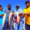 The Johnson Family of Houston took these nice reds and drum on shrimp