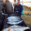 The Night Stalker Krewe of Magnolia TX took these trout- reds- and flounder slam at night on plastics