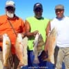 The Texas Anglers of Houston caught these nice reds and drum on shrimp