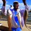 Thomas Mosley of Houston took his limit of slot reds on shrimp