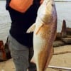 A 37 inch Bull Red on her 38th Birthday- Angela Goodman of Pearland TX celebrated her B-Day at Rollover Pass