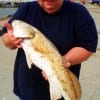 Beaumont anglerette Susan Snider displays her 28 inch slot red she caught on shrimp