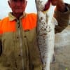 Ben Thompson of Athens TX was fishing a Berkley Gulp when he tangled with this 23inch speck