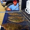 Jessie Aldy of Baytown TX tailgated these nice flounder he caught on finger mullet