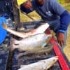 Macceo Hicks of Houston tailgated this night-shift catch of specks and reds he took on Chicken Boy soft plastics