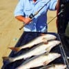 Mont Belvieu TX angler Shawn Broadway took these specks and red topped by a 27inch gator-speck on freelined shrimp