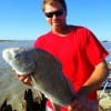 Splendora TX angler Don Clark wrestled in this nice keeper eater drum he took on shrimp