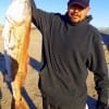 Al Lopez of Spring TX caught and tagged this HUGE 43inch Bull Red he took on shrimp