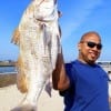 Juan Marquez of Houston took this nice 27 inch black drum while fishing shrimp