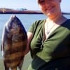 Sugar Land TX anglerette Celia Sperry took this 16 inch sheepshead while fishing live shrimp