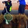 The Morrison Brothers helping each other with their big trout catches