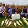 The Smith Family of Mauriceville TX racked up this nice mess of reds while fishing Rollover Bay with live mullet