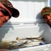 Fishin buds Gino Pinalto and John Purser of Tyler TX fished live shrimp in the surf for these fine sand trout