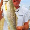 High Islander Jackie Bertolino caught and released this 4LB Gulf Trout he took on Gulp