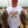 Houston angler Gary Weft took these two nice drum on shrimp