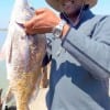 Houston angler Joe Baker fished shrimp to nab this nice 24 inch drum for supper