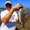 Lady angler holds up nice slot drum she caught on shrimp