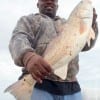 Nairobi Wright of Beaumont TX landed this nice 27 inch slot red while fishing shrimp