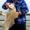 Omaha Nebraska angler Mike Milone caught and released this 32 inch black drum he took on shrimp