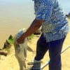 Terry Lilly helping Deb Penney with her 35inch drum she caught and released while fishing shrimp