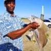 This angler just caught this nice drum on shrimp