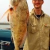 Winnie TX angler Mathew Barrett caught this nice drum while fishing with shrimp