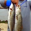 Beaumont angler Joe Bryan worked soft plastics along the bottom to nab these two nice trout